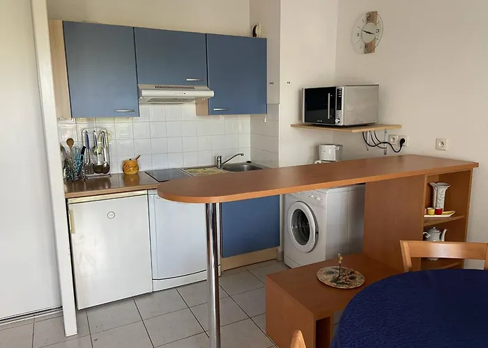 公寓 : 2* Avec Piscine Et Balcon - Fr-1-738-39 福克斯索梅尔